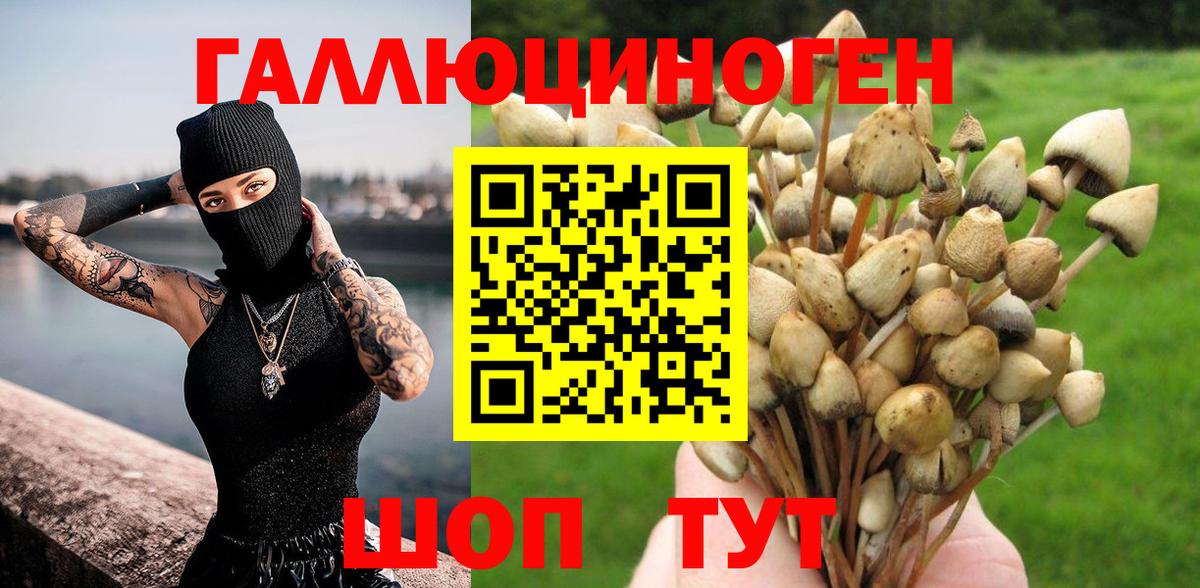 Галлюциногенные грибы Psilocybine cubensis Хасавюрт