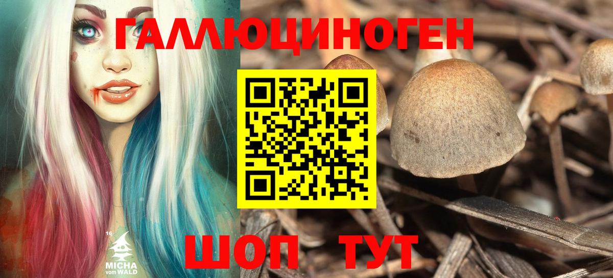 Хасавюрт  дарнет шоп  Вход с VPN  Псилоцибиновые грибы мухоморы 